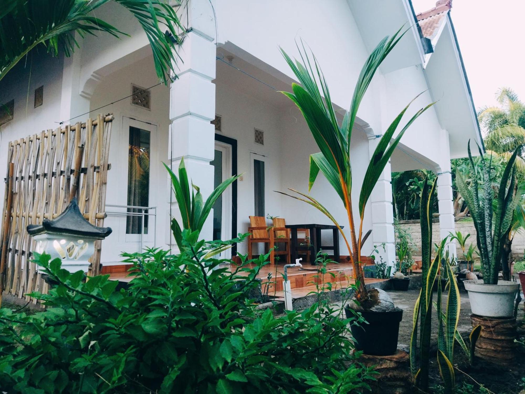 Balengku Homestay Гили Еър Екстериор снимка